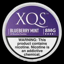 XQS Blueberry Mint 8mg nicotine pouches